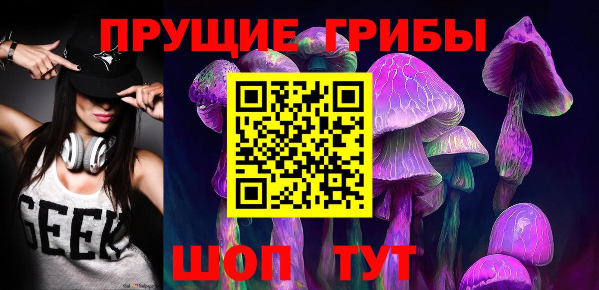 Псилоцибиновые грибы Psilocybe Ипатово