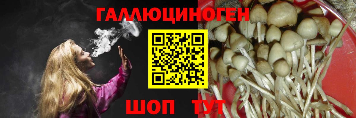 Галлюциногенные грибы Psilocybine cubensis  Вход с VPN  Ипатово 